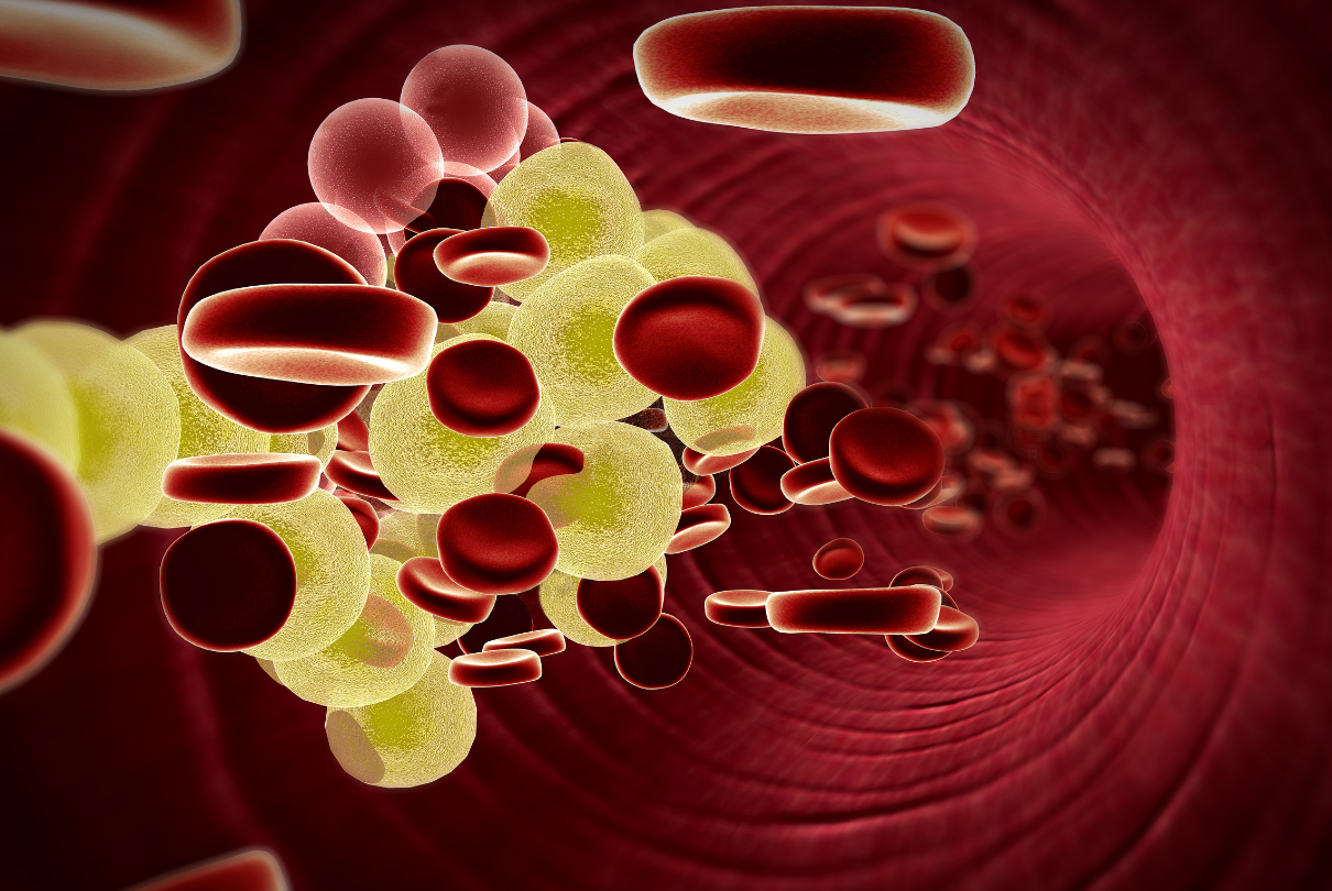 Vaso sanguíneo com hemácias e moléculas de gorduras