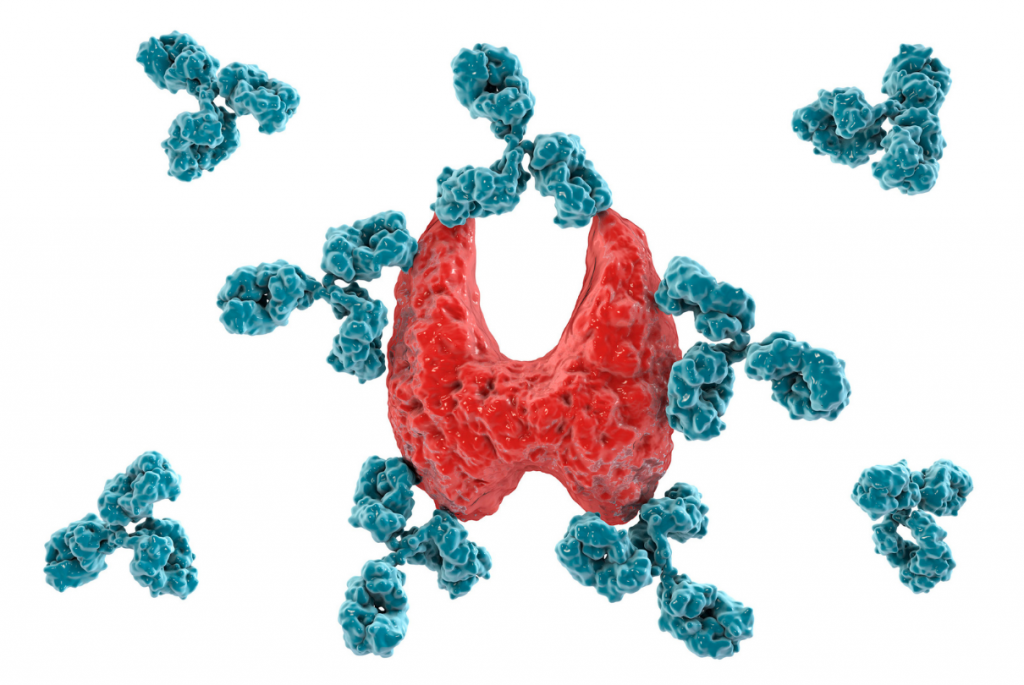 Tireoide com anticorpos azuis