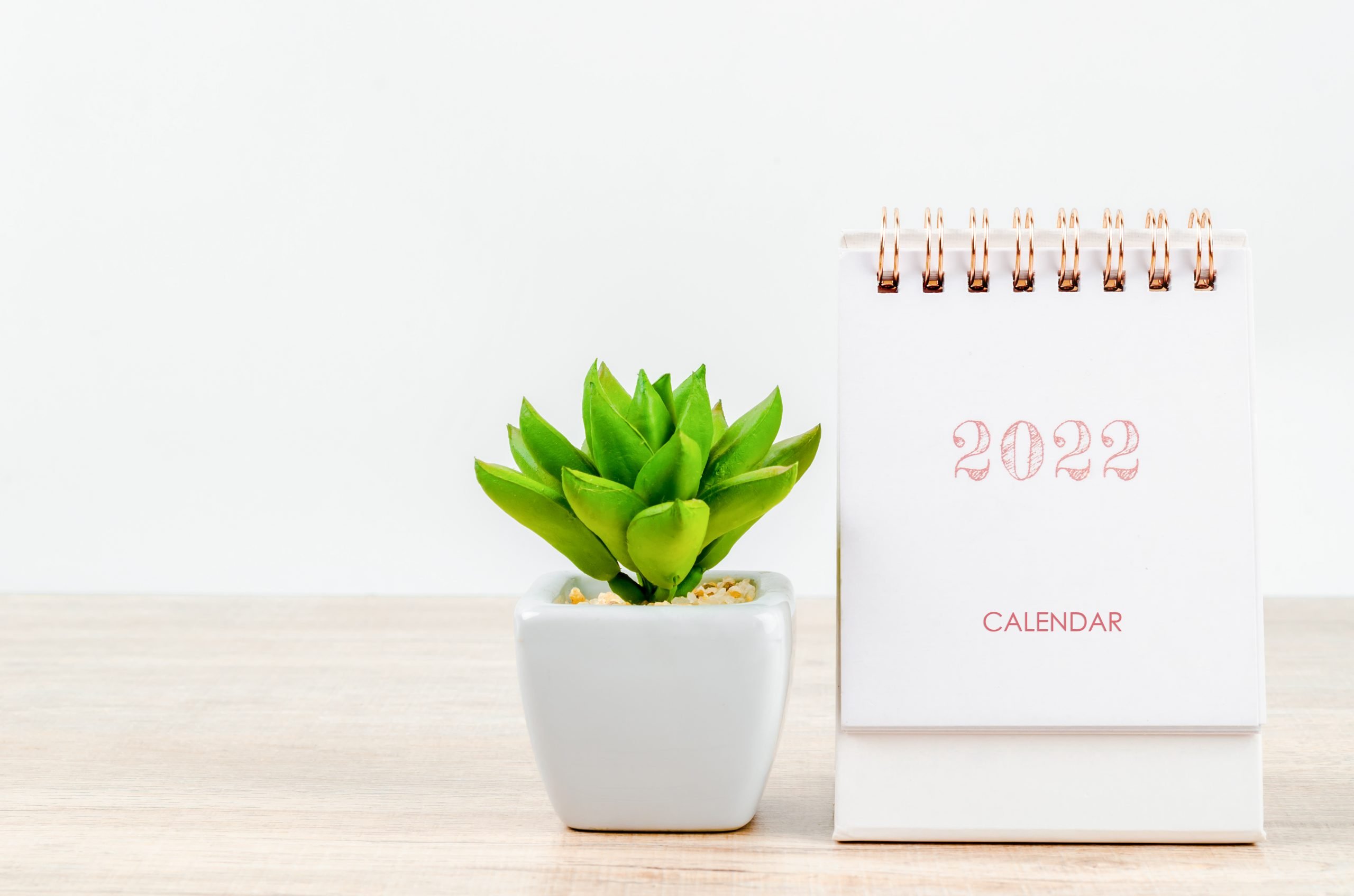 Calendário 2022 e vaso de planta