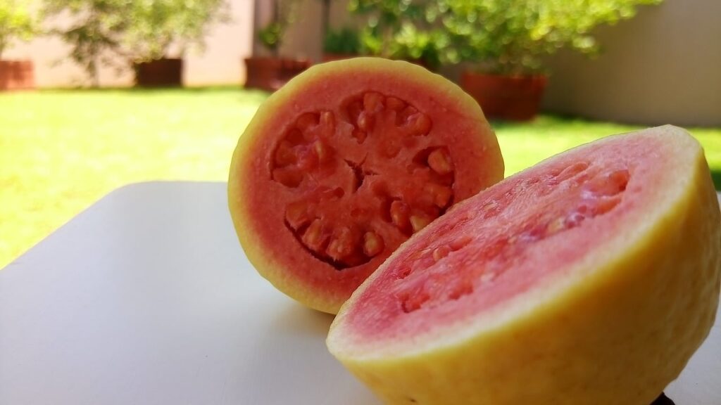 goiaba cortada ao meio ao ar livre em dia de sol