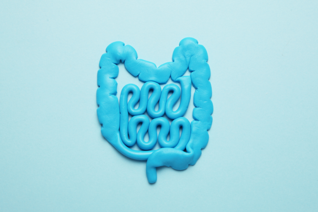 Intestino azul