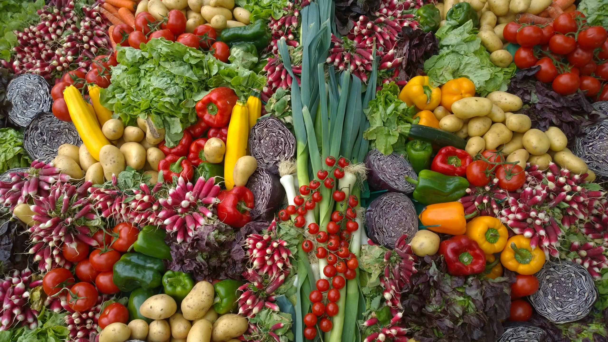 diferentes tipos de vegetarianismo