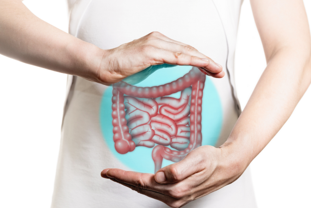 Mulher segurando desenho do intestino