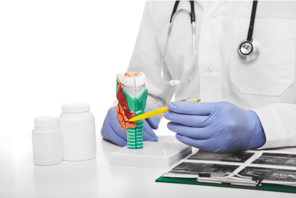 Médico com um mockup de tireoide