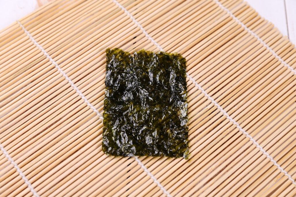 uma alga crocante, também conhecida como nori chips
