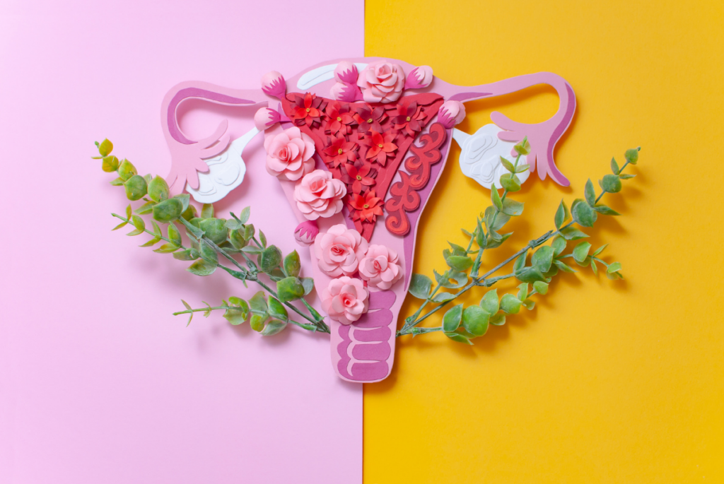 útero saudável com plantas ao redor