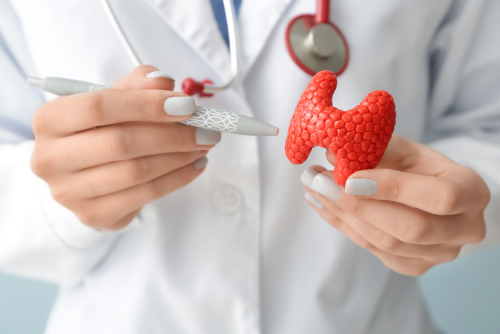 médico segurando mockup de tireoide