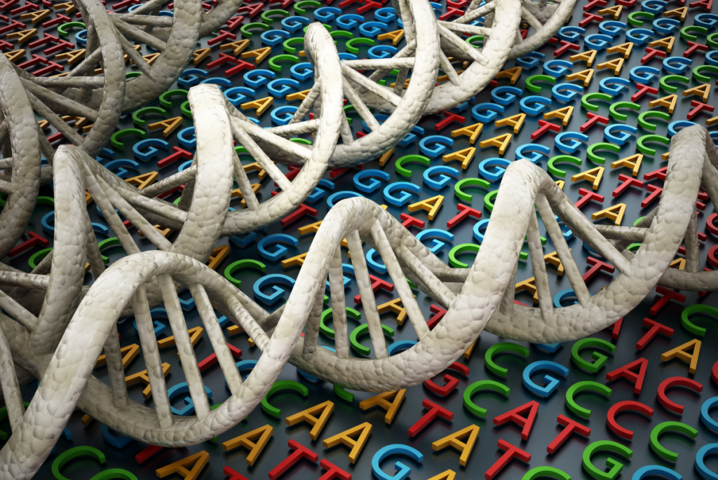 DNA e bases nitrogenadas