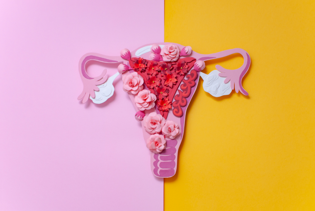 útero com fundo rosa e amarelo