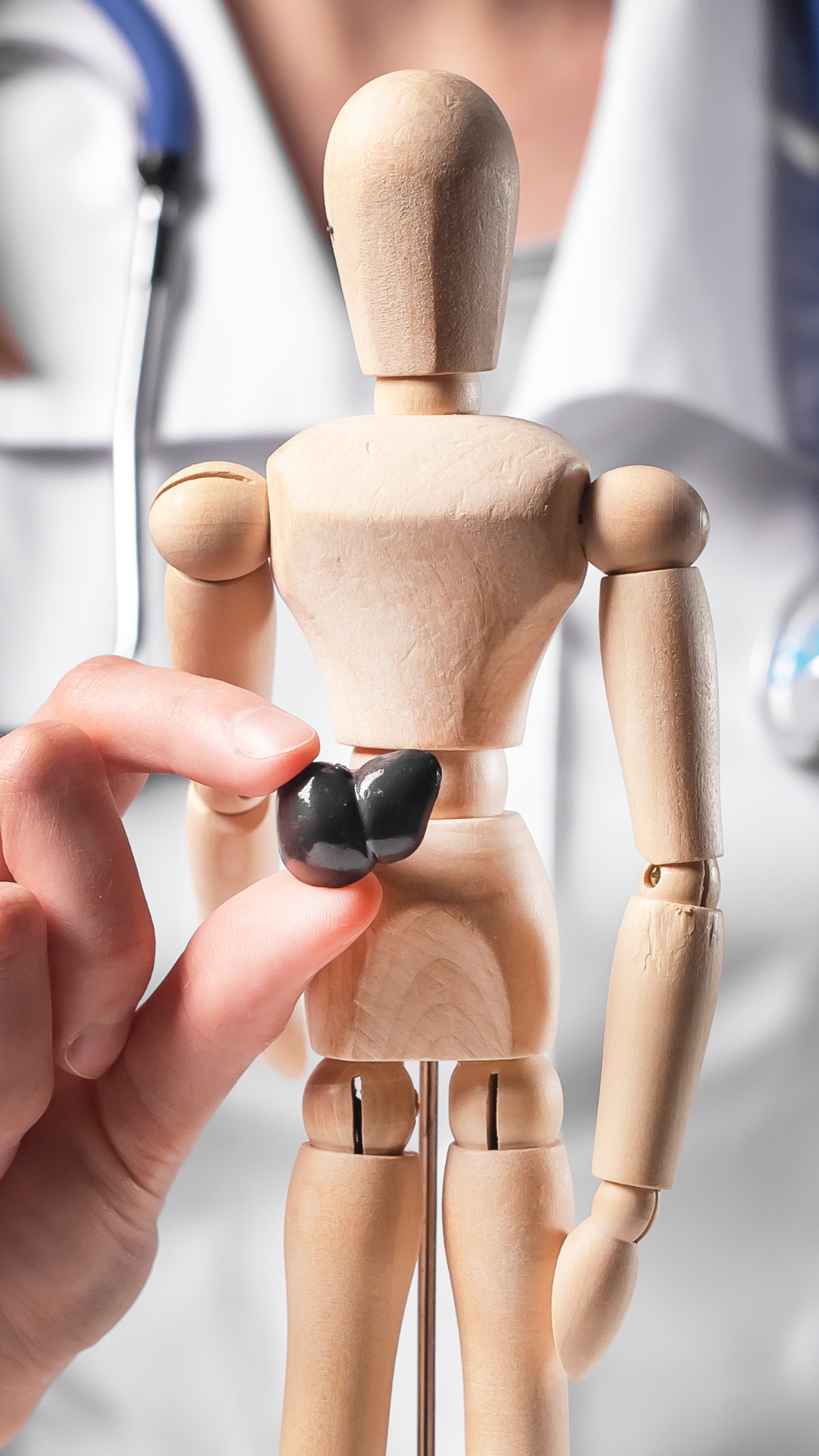Médica segurando miniatura de fígado sobre escultura de corpo humano.