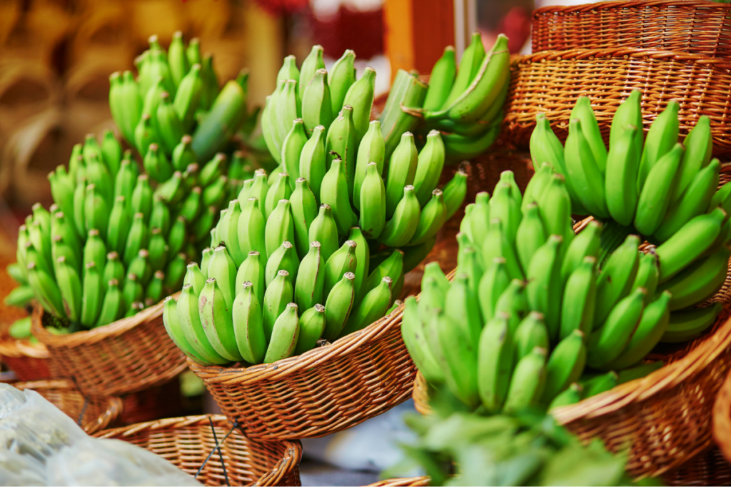 Multiplos cachos de bananas verdes