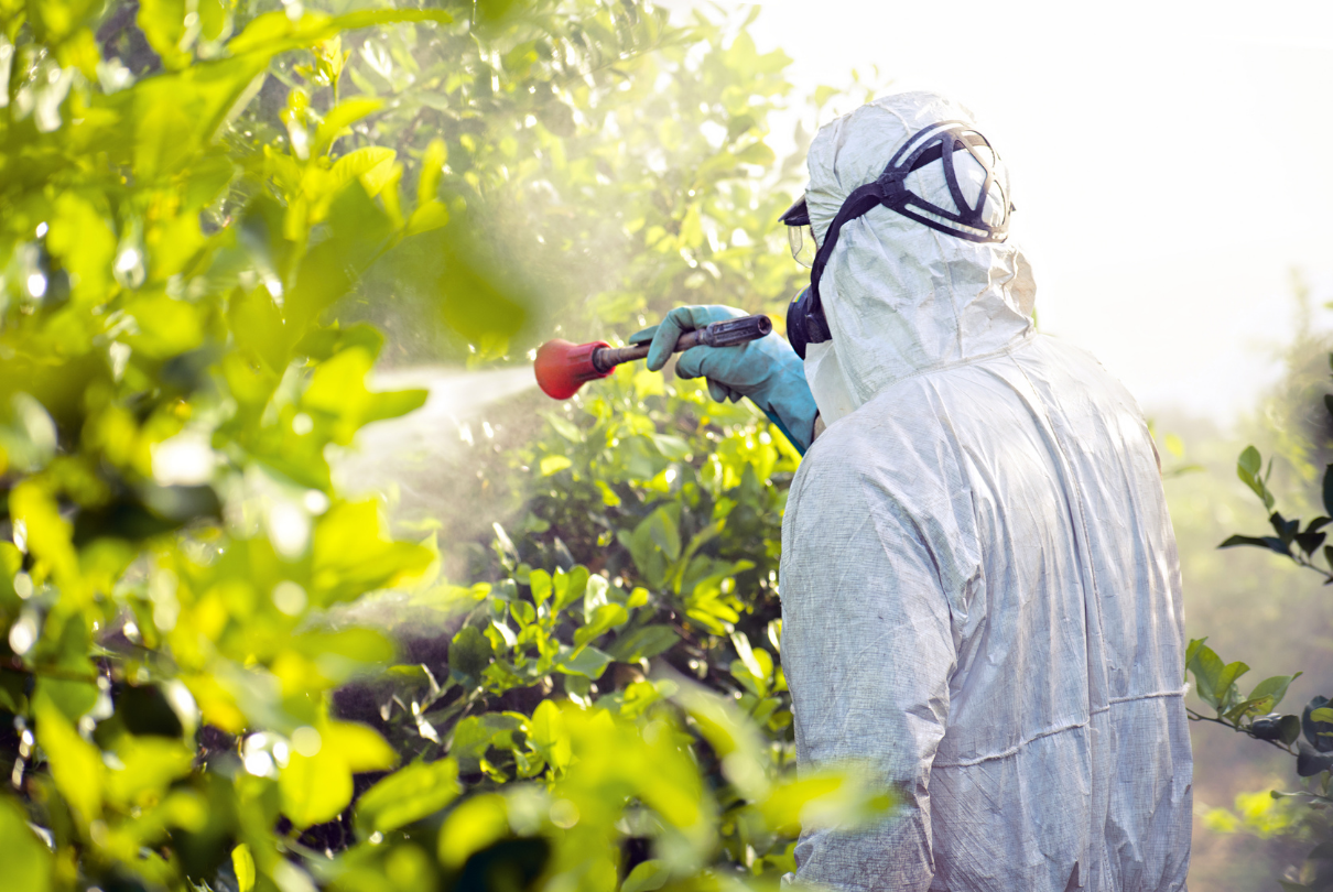 Homem aplicando agrotóxicos