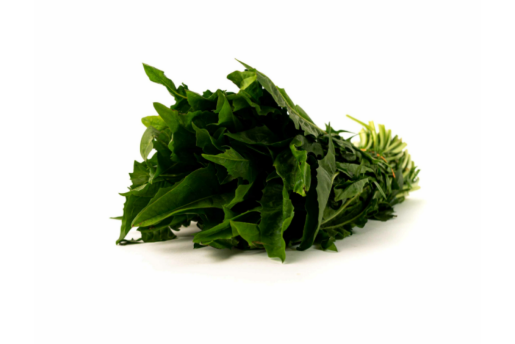 catalonha