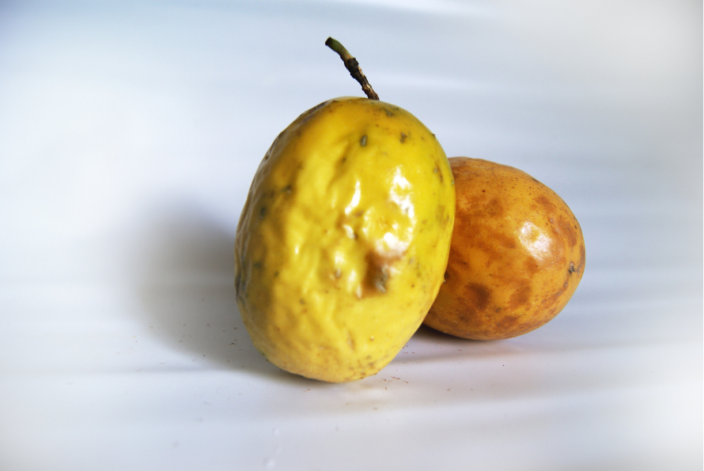 maracujás