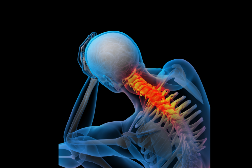 Esqueleto, com reumatismo em evidências na cervical