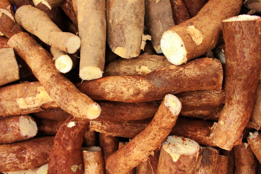 Inhames, que são o ingrediente foco da receita com inhame