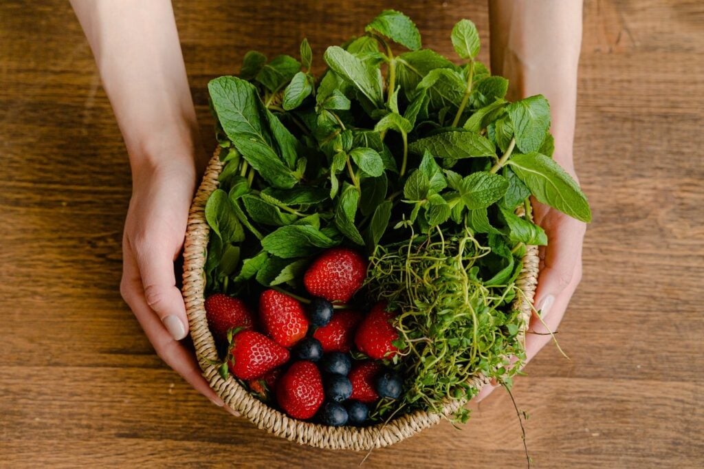 imagem com uma pessoa segurando uma cesta de folhas verdes e frutas, opções de comida orgânica