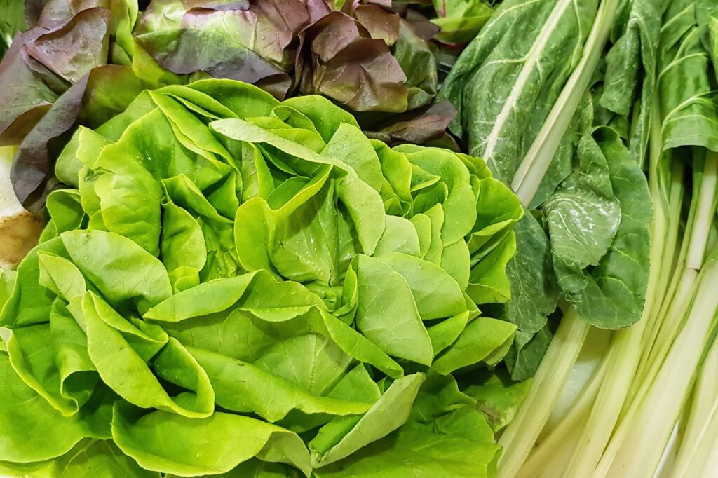 Folhas verdes de verduras.