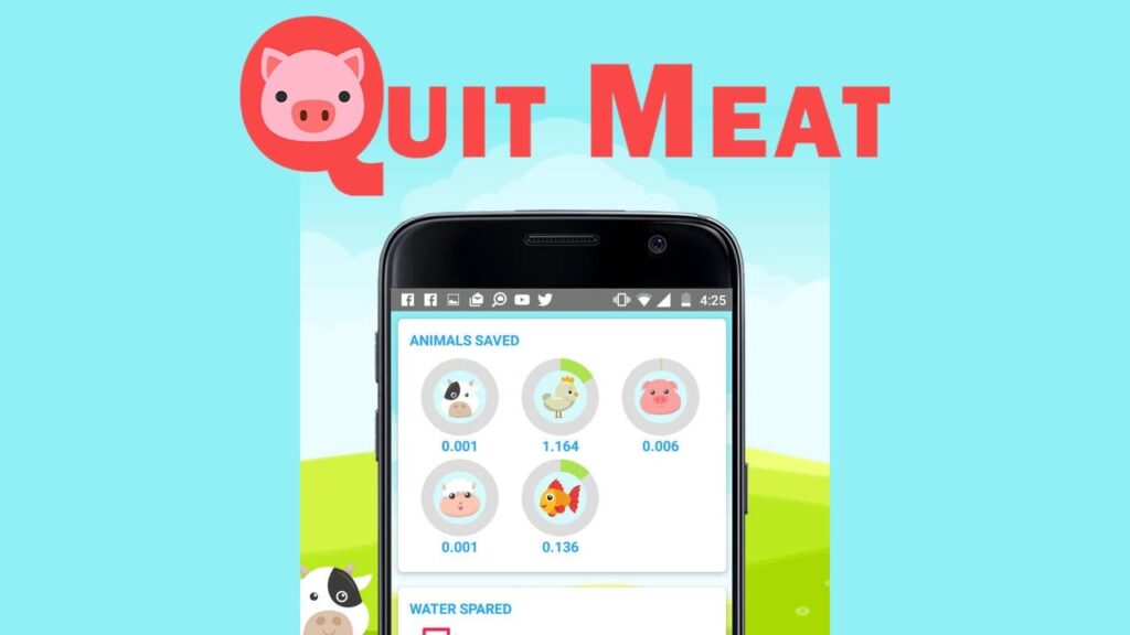 Interface do app