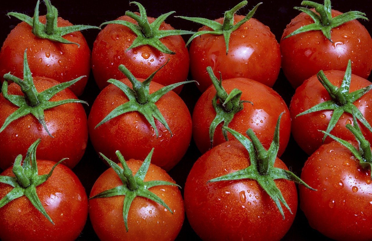Tomates